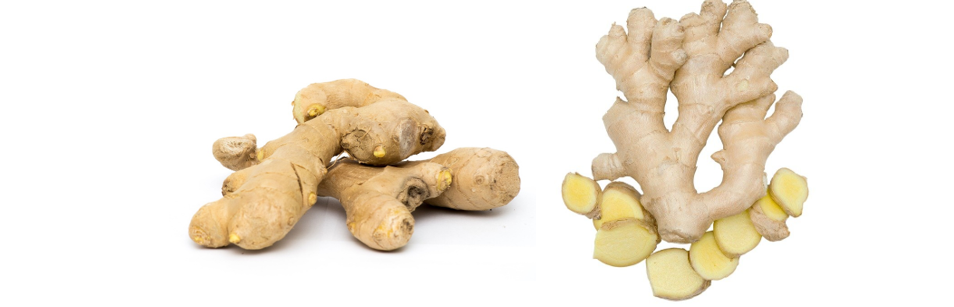 Unique 5 Caring Tips for Ginger Plants with Cultivation