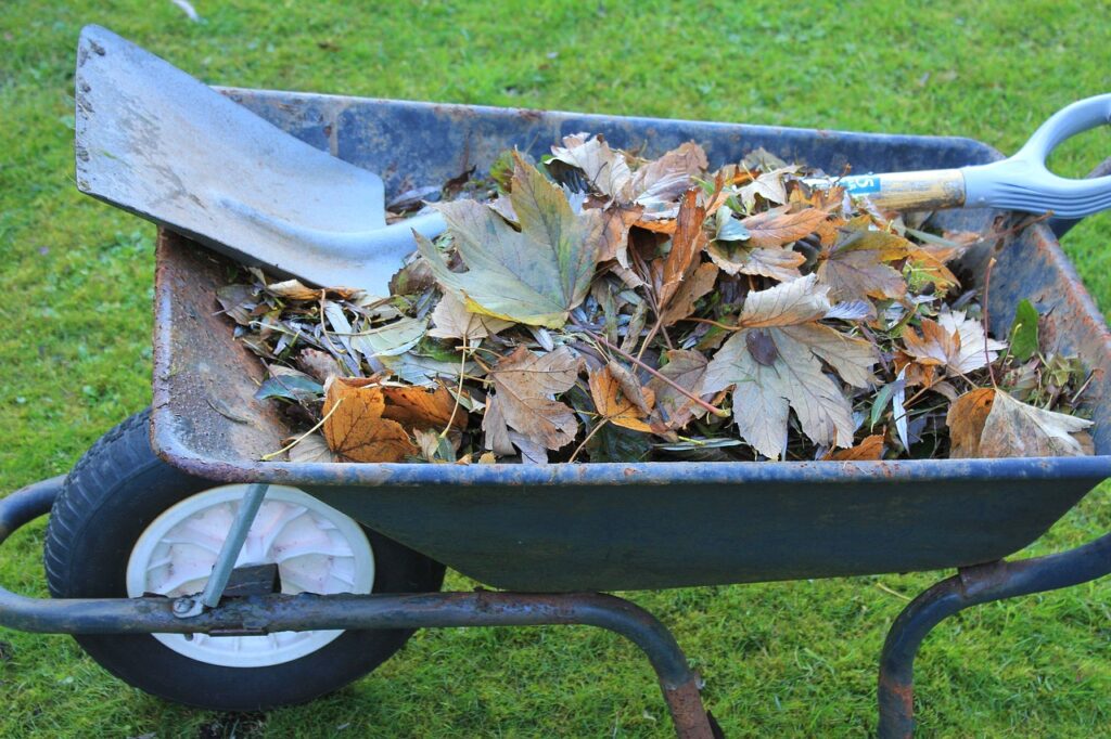 How to Make Leaf Mold Compost | Pesticide