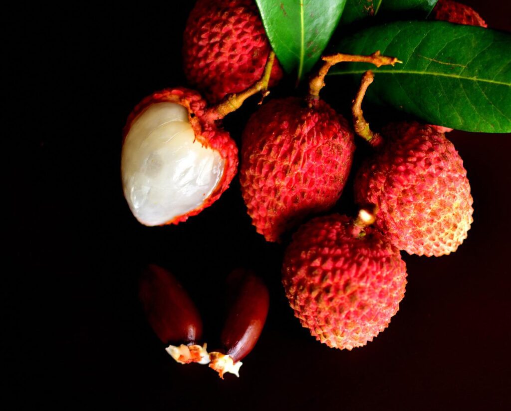 Litchi : How To Grow Seeds | Caring | Top 5 Benefits